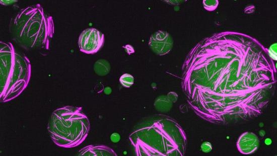 Animated green and pink artificial cells.